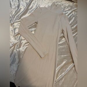Turtle neck ribbed dress